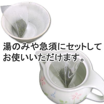 Seiwa 18734: Flat or Pyramid Mesh Tea Bags, 55 x 80 mm - natsumiya.live