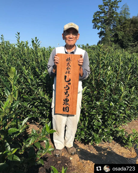Shuchi Tea Garden: Fukamushicha Green Tea, Kirari 31 Single Cultivar, 2022 Nihoncha Awards Platinum Medal Winner, Refined by Osada Tea - natsumiya.live