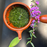 Shuchi Tea Garden: Fukamushicha Green Tea, Kirari 31 Single Cultivar, 2022 Nihoncha Awards Platinum Medal Winner, Refined by Osada Tea - natsumiya.live