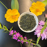 Shuchi Tea Garden: Fukamushicha Green Tea, Kirari 31 Single Cultivar, 2022 Nihoncha Awards Platinum Medal Winner, Refined by Osada Tea - natsumiya.live