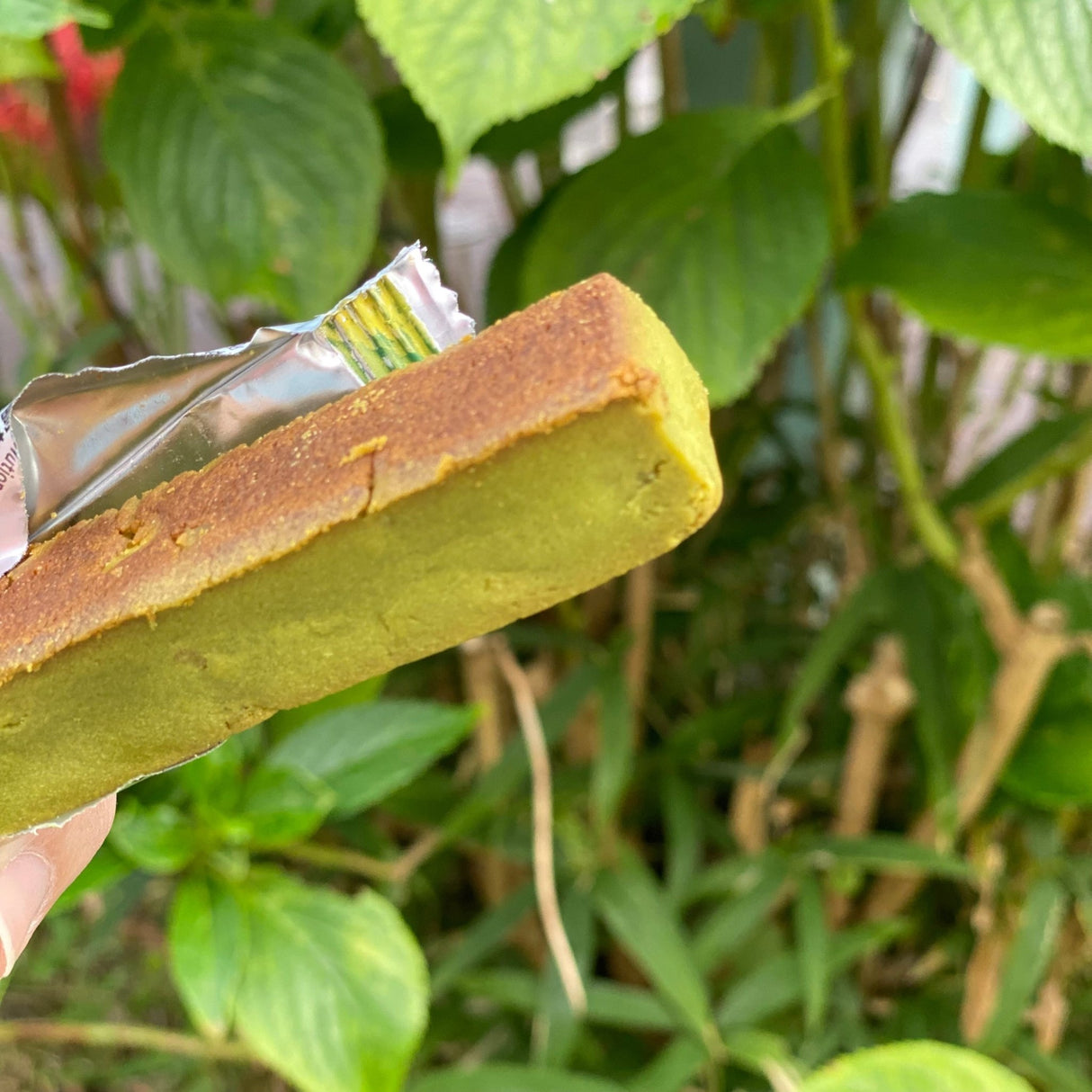 SOYJOY Breakfast Bar Matcha & Macademia Nuts - natsumiya.live