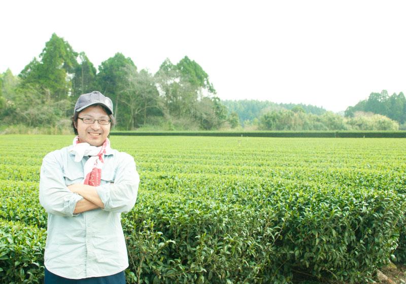 Sueyoshi Tea Atelier #001: 2022 "Furusato no Hana" Saemidori Fukamushi Kabusecha from Kagoshima 末吉銘茶 郷里の華 さえみどり - natsumiya.live