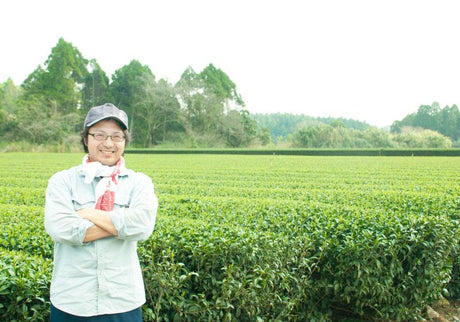 Sueyoshi Tea Atelier #001: 2022 "Furusato no Hana" Saemidori Fukamushi Kabusecha from Kagoshima 末吉銘茶 郷里の華 さえみどり - natsumiya.live