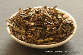 Takeo Tea Farm: Hojicha Roasted Green Tea (Autumn) 農薬不使用 有機ほうじ茶 - natsumiya.live