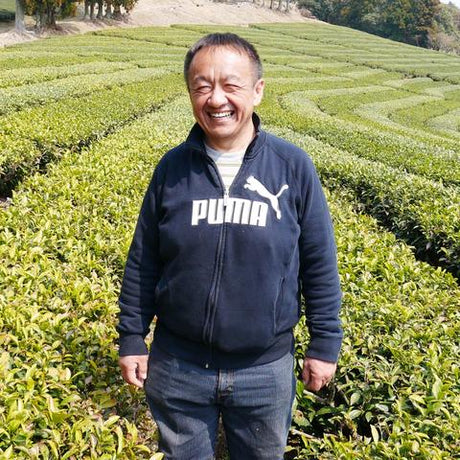 Tarui Tea Farm: 2022 Organic Sencha Kiriyama Mushin Single Cultivar Shizu 7132 有機 霧山無心 - natsumiya.live