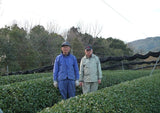 Tea Farmer Shinichi Kihara: 2022 Naturally Grown Kyoto Kabusecha (Single Cultivar Gokou) 自然栽培かぶせ茶ごこう - natsumiya.live