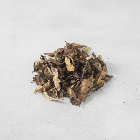 Tea Farmer Shinichi Kihara SKH003: Naturally Grown Kyobancha 京番茶 (Winter-roasted green tea leaves) - natsumiya.live