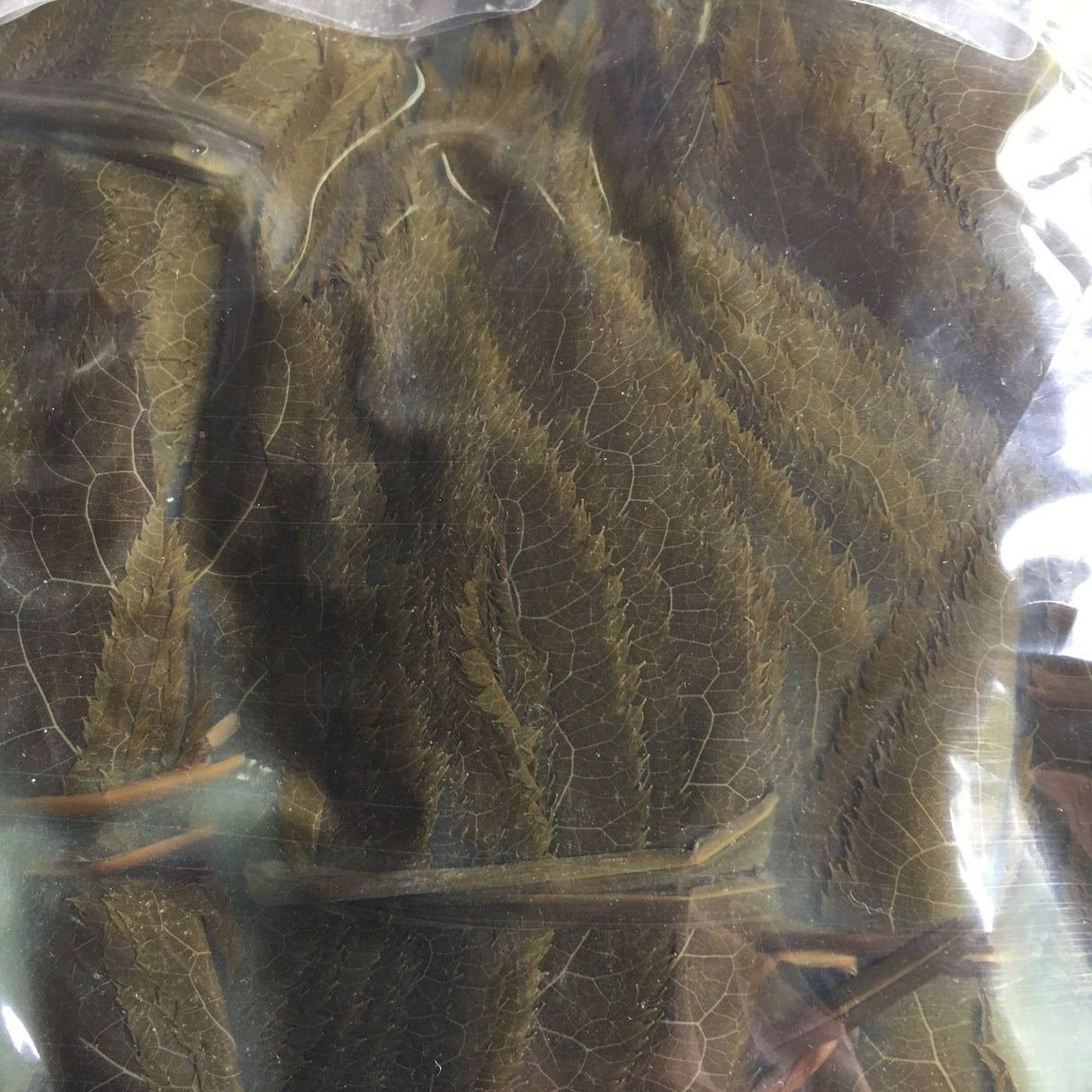 Tomiz: Pickled Sakura Leaves from Izu Peninsula, Shizuoka 桜葉の塩漬(伊豆産) - natsumiya.live