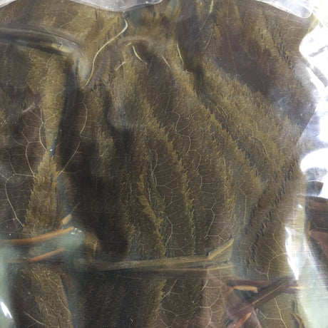 Tomiz: Pickled Sakura Leaves from Izu Peninsula, Shizuoka 桜葉の塩漬(伊豆産) - natsumiya.live