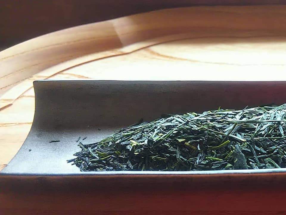 #0437.F2 球磨茶園 FK034：八女茶 煎茶 露光