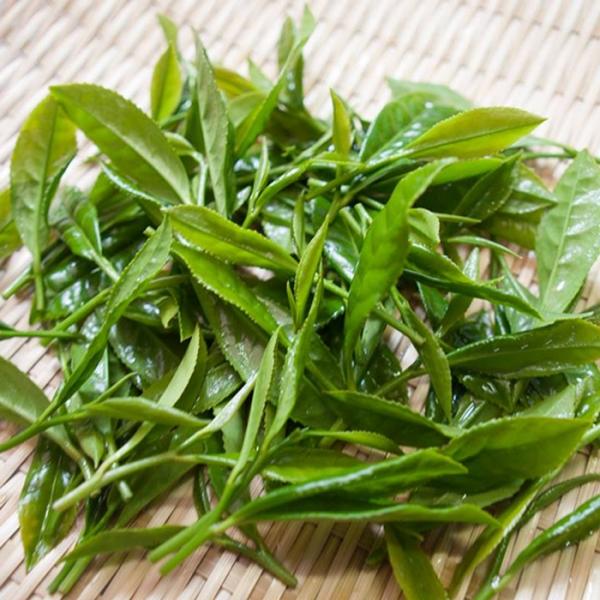 Wakoen Tea Farm: 2022 Kagoshima Fukamushicha - Kaori 和香園 深蒸し茶 薫 - natsumiya.live