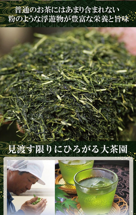 Wakoen Tea Farm: 2022 Kagoshima Fukamushicha - Takumi 和香園 深蒸し茶 匠 - natsumiya.live