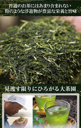 Wakoen Tea Farm: 2022 Kagoshima Fukamushicha - Yoh 和香園 深蒸し茶 陽 - natsumiya.live