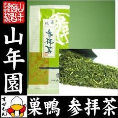 Yamane-en: Kakegawa Fukamushi Premium, Tea Blessing 特選 参拝茶 - natsumiya.live