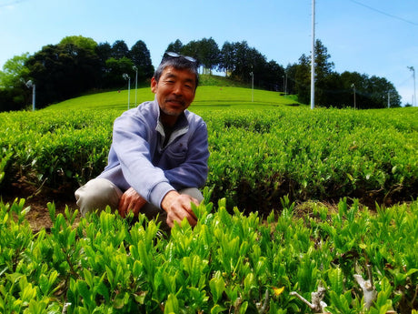Zenkouen Tea Garden: #01 Daichi no Meicha - Imperial Grade 極上 Shizuoka Sencha (JAS Organic) - natsumiya.live