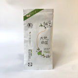 Zenkouen Tea Garden #03: 2022 Daichi no Meicha - Single Cultivar Kanaya Midori Shizuoka Sencha (JAS Organic) 大地の銘茶、かなやみどり - natsumiya.live