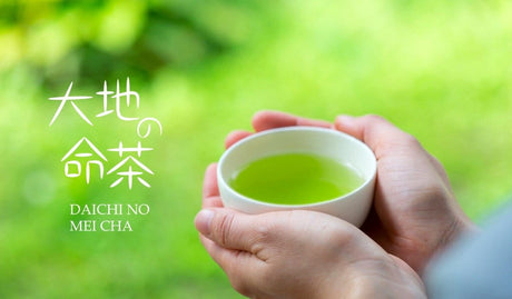 Zenkouen Tea Garden #18: 2022 Daichi no Meicha - Single Cultivar Yabukita Shizuoka Sencha (JAS Organic) 大地の銘茶、やぶきた - natsumiya.live